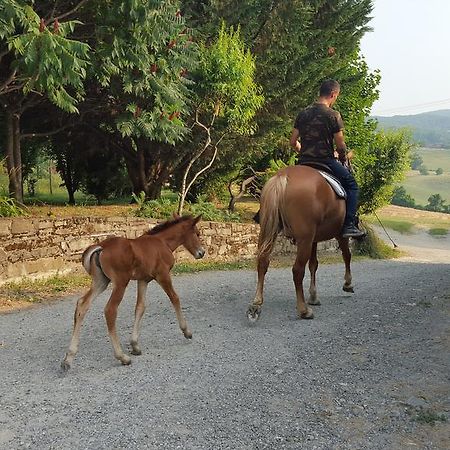 Agriturismo Corte Del Gallo ริแวร์กาโร ภายนอก รูปภาพ
