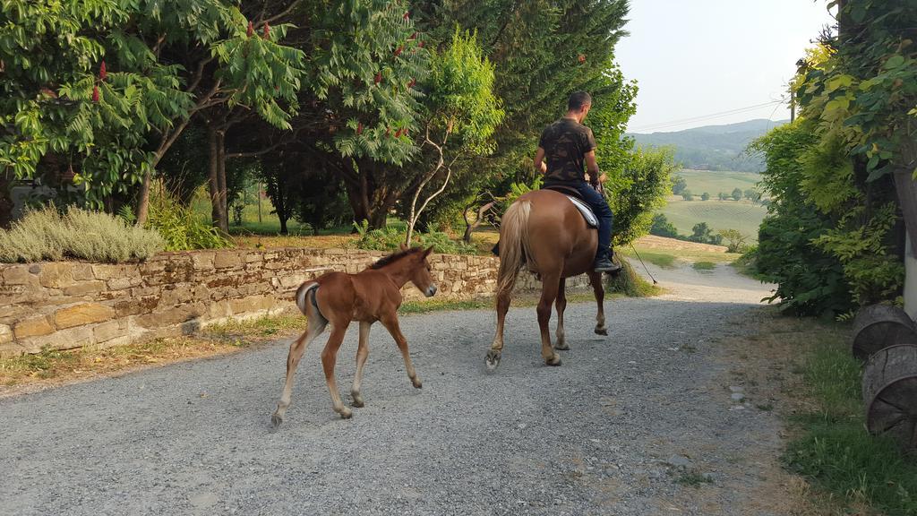 Agriturismo Corte Del Gallo ริแวร์กาโร ภายนอก รูปภาพ